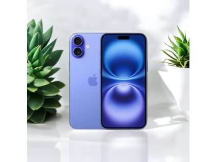 Photoroom 20241217 202718