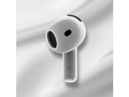 Photoroom 20251130 085701