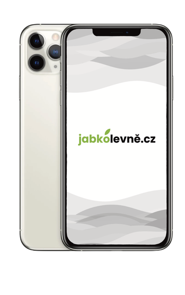iPhone 11 Pro