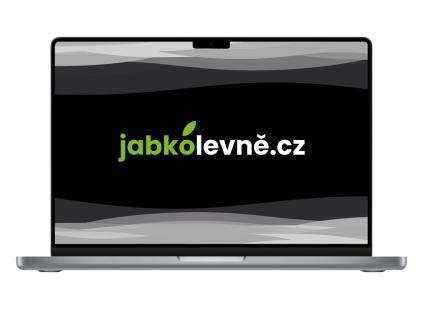 18141 macbook pro m1 pro max sg