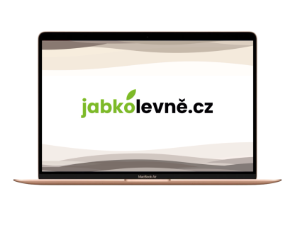 17795 macbook air m gold