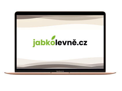 17994 macbook air gold