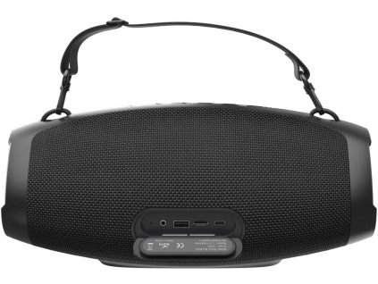 RIXrep001 03