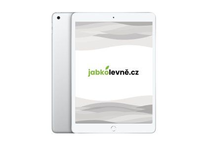 22532 ipad 7 generace 2019 silver