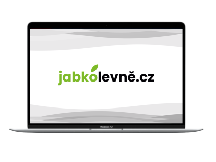 16582 macbook air m silver