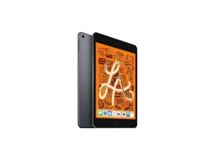 ipad mini šedý