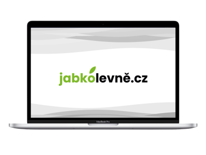 25462 22160 macbook pro intel silver
