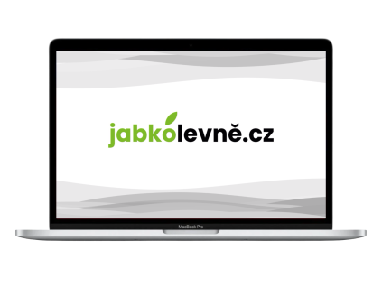 17651 macbook pro m1 silver