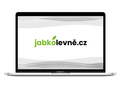 17666 1 macbook pro intel silver
