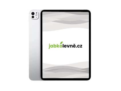 iPad Pro 2024 11 Silver