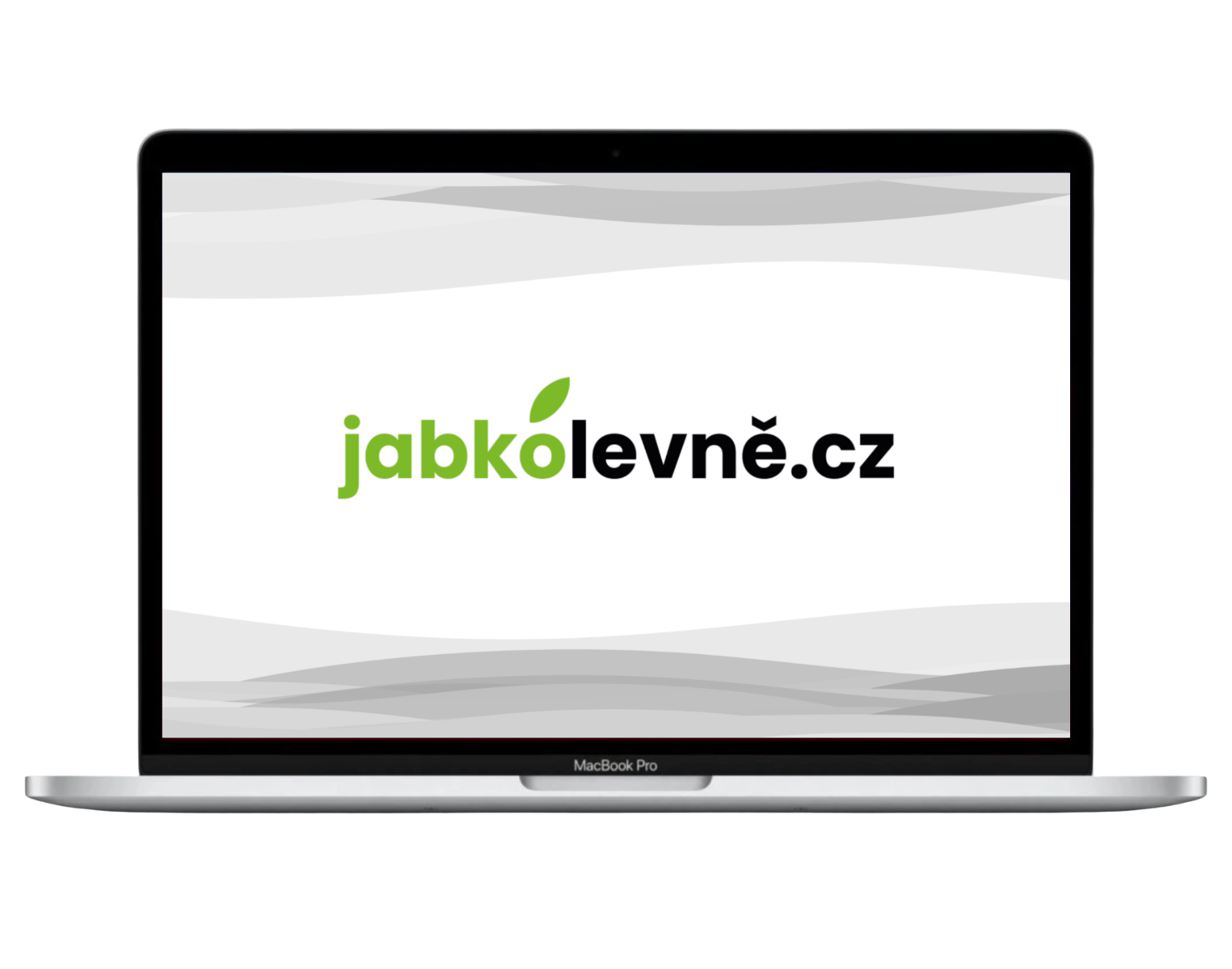 MacBook Pro 13" 2020 M1 / 8GB / 256GB (Stav A-) Stříbrná