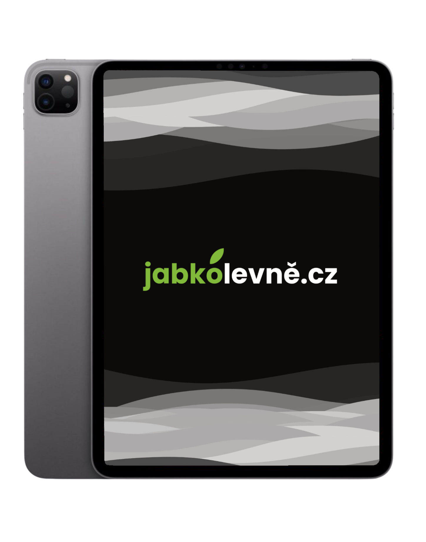 iPad Pro 12,9" 256 GB Wi-Fi M2 2022 (Stav A) Vesmírně šedá