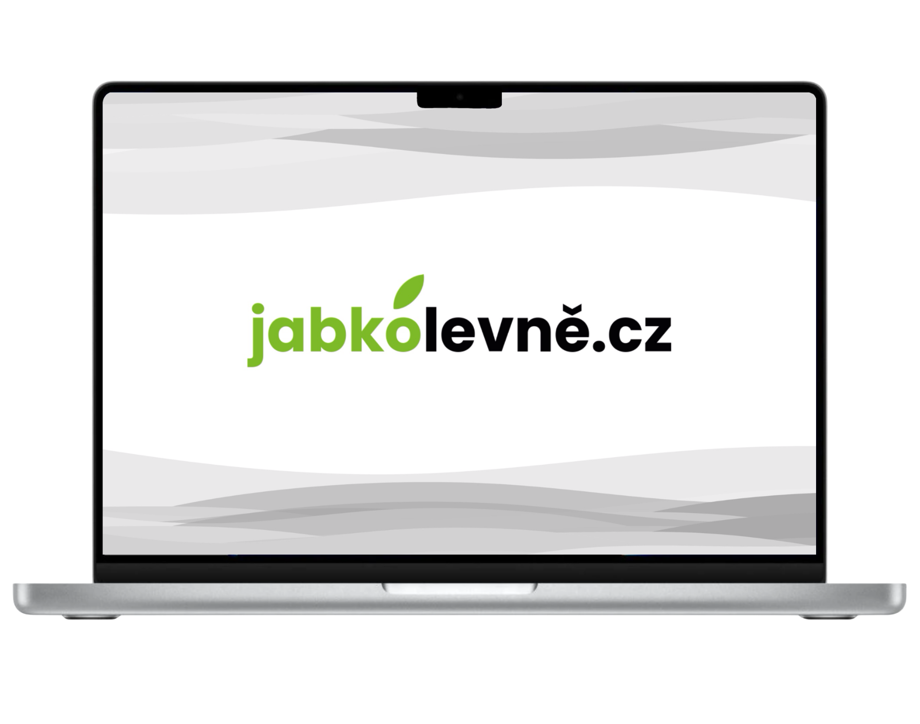 MacBook Pro 14" 2021  M1 Pro / 16GB / 1TB (Stav A-) Stříbrná