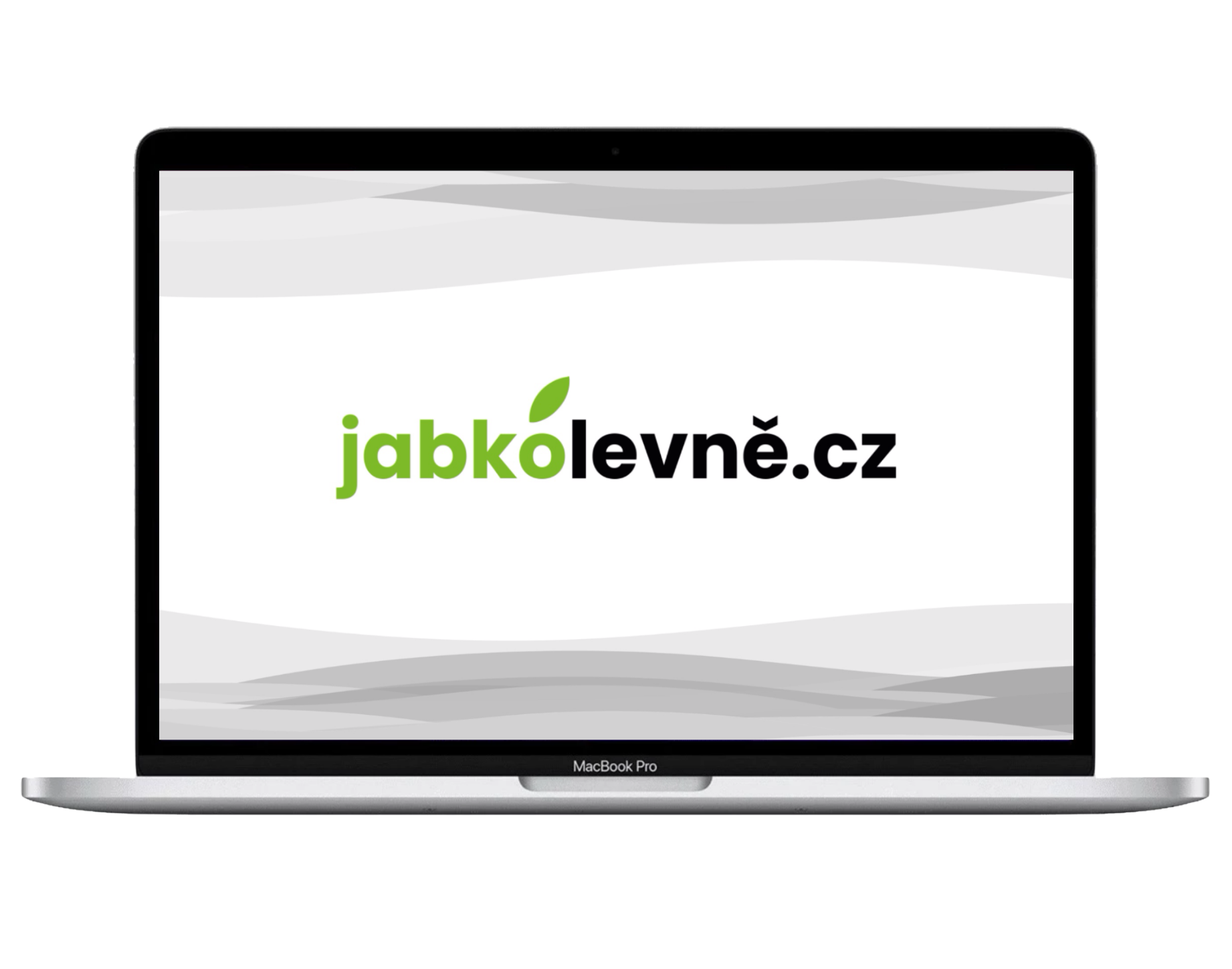 MacBook Pro 13" 2022 M2 / 8GB / 256GB (Stav A-) Stříbrná
