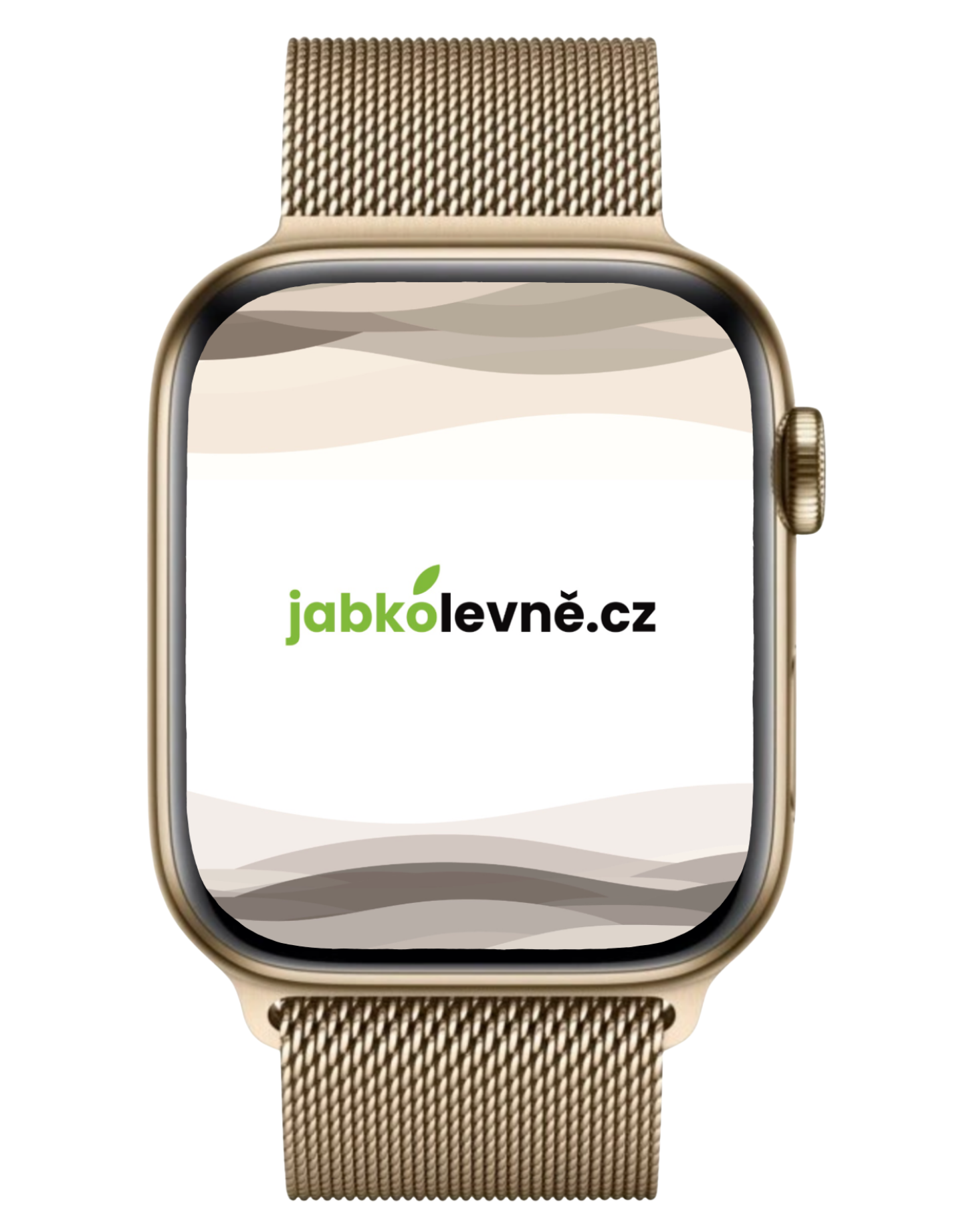 Apple Watch Series 6 40mm Cellular (Stav A) Zlatá nerezová ocel s grafitovým ocelovým řemínkem