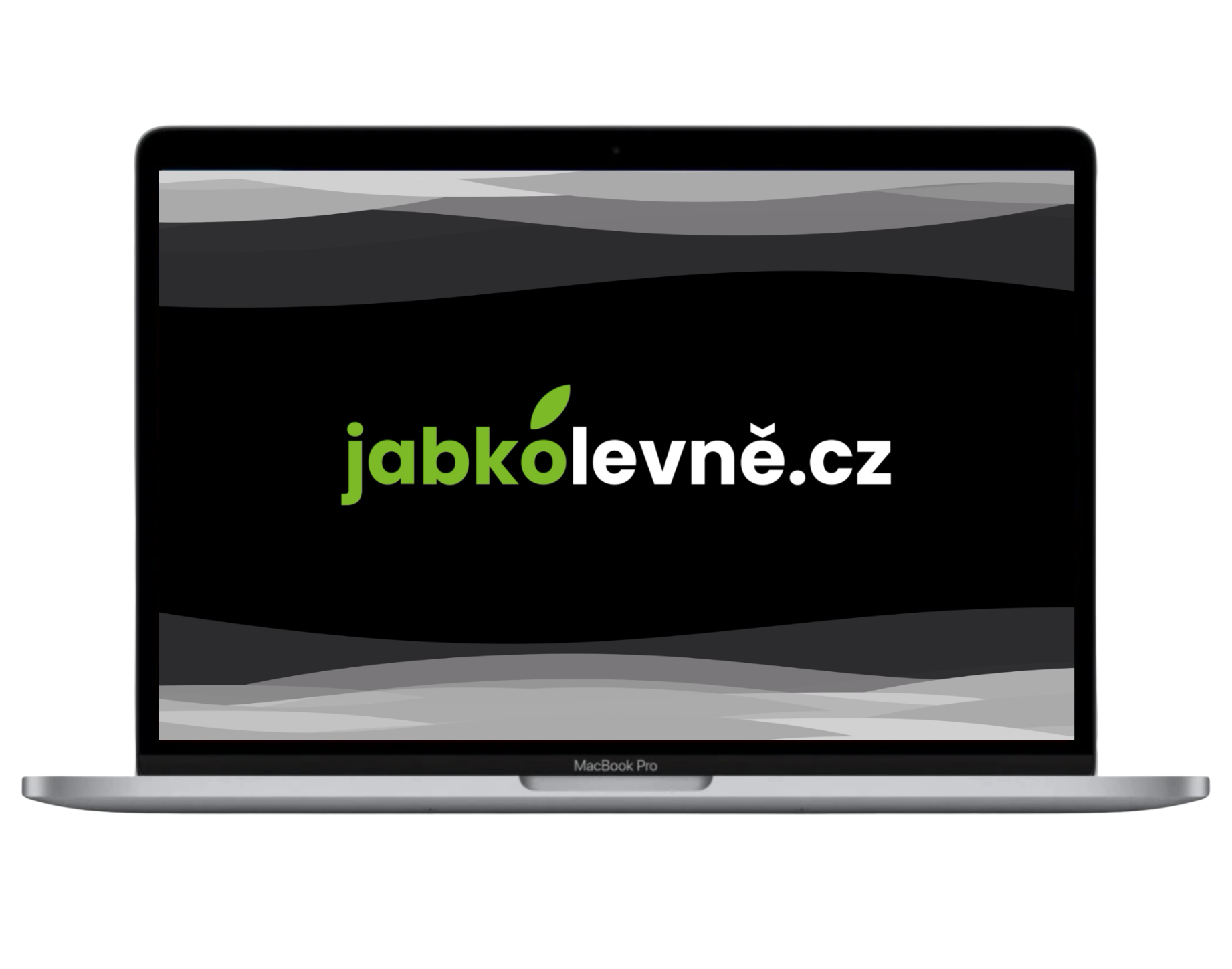 Levně MacBook Pro 13" 2020 M1 / 8GB / 512GB (Stav A/B) Vesmírně šedá