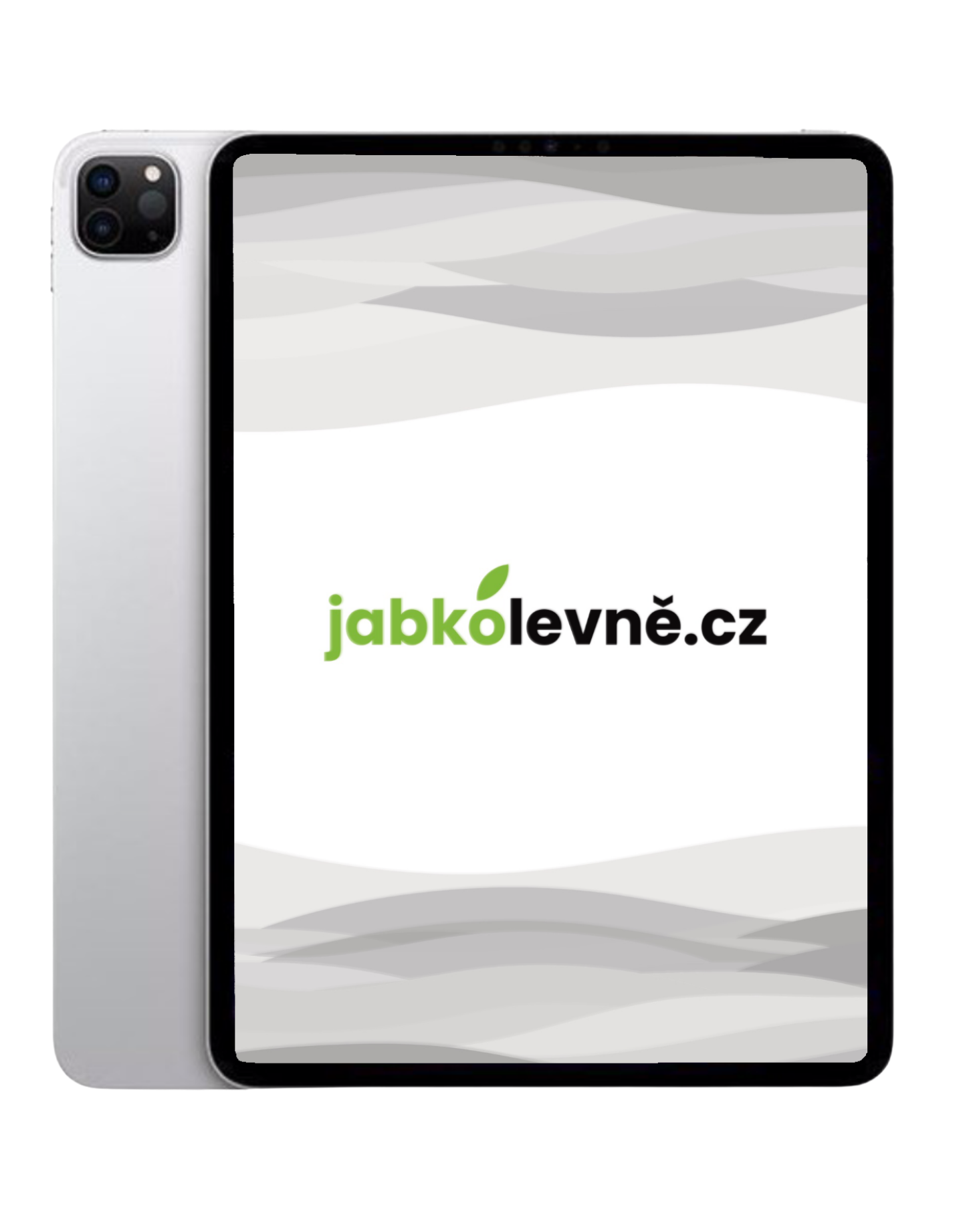 iPad Pro 11" 256GB Wi-Fi + Cellular 2022 M2 (Stav A-) Stříbrná