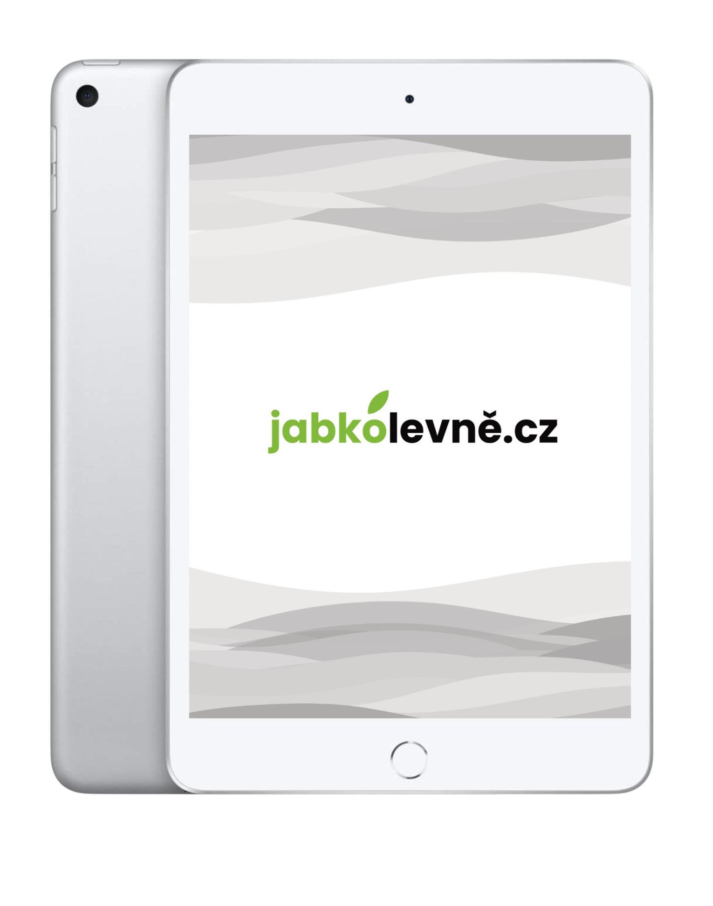 iPad Mini 5. Generace 64GB Stříbrná (Stav B)