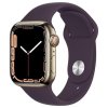 Apple Watch Series 7 45mm Cellular (Stav A) Zlatá nerezová oceľ s tmavomodrým športovým remienkom