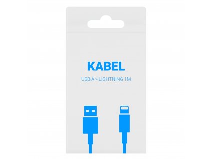USB A Lightning