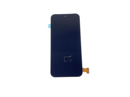 Displej Google Pixel 9 Pro XL (Service Pack)