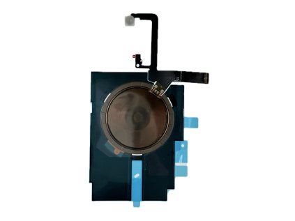 Pozadí obrázku „IMG 1041“ bylo odstraněno