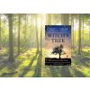 Witch's Tree
