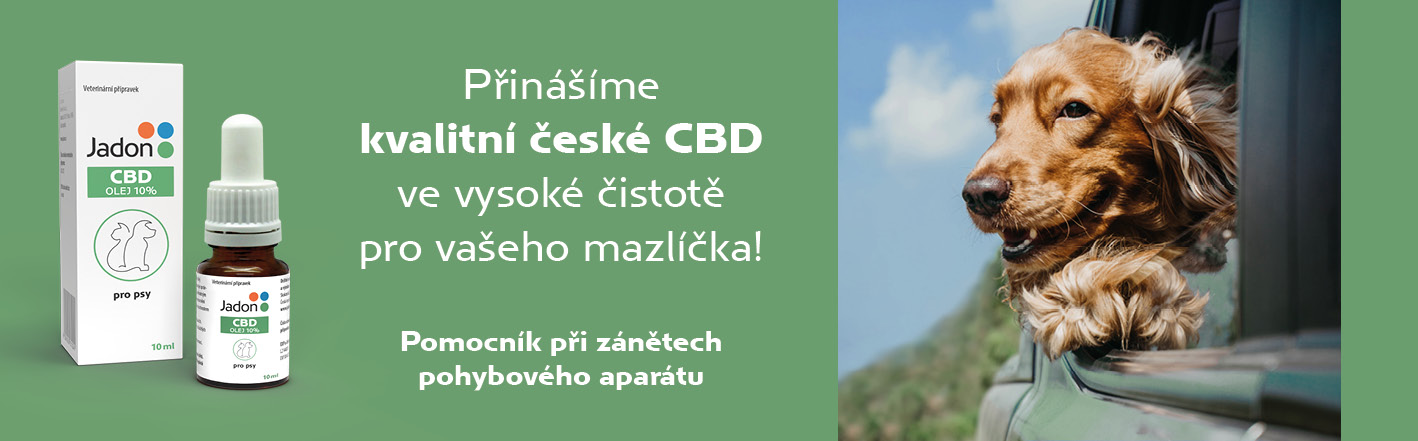 CBD olej pro psy