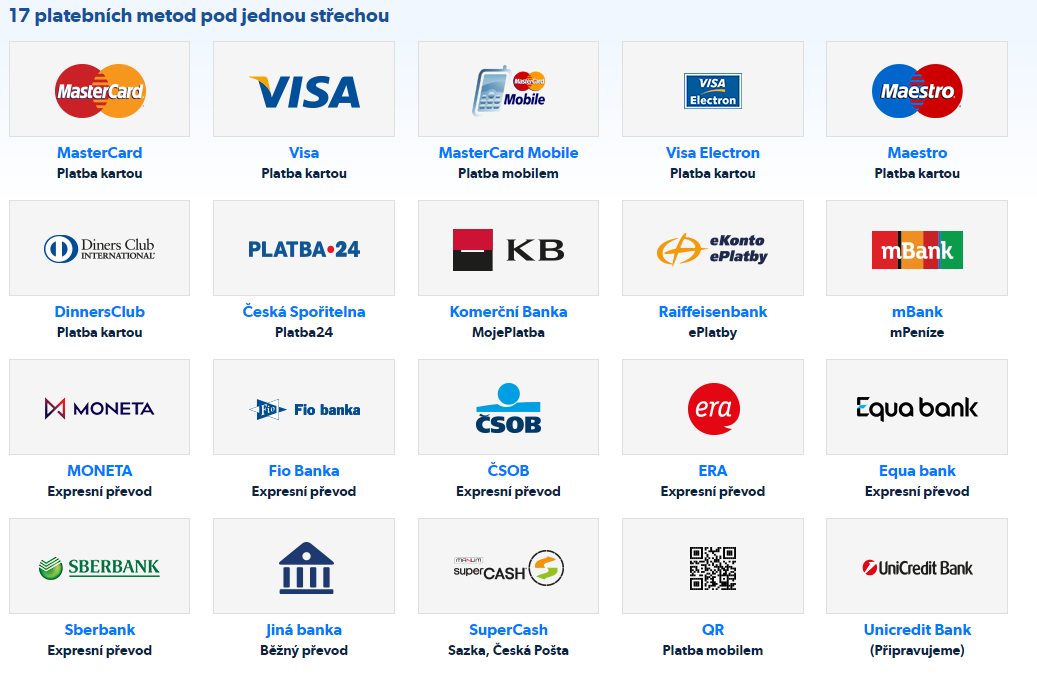 platební-metody-ThePay