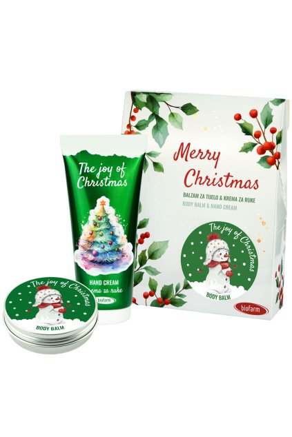 MERRY CHRISTMAS THE JOY PP