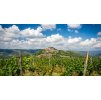 Wino Malvazija 0,75l  Wino Malvazija