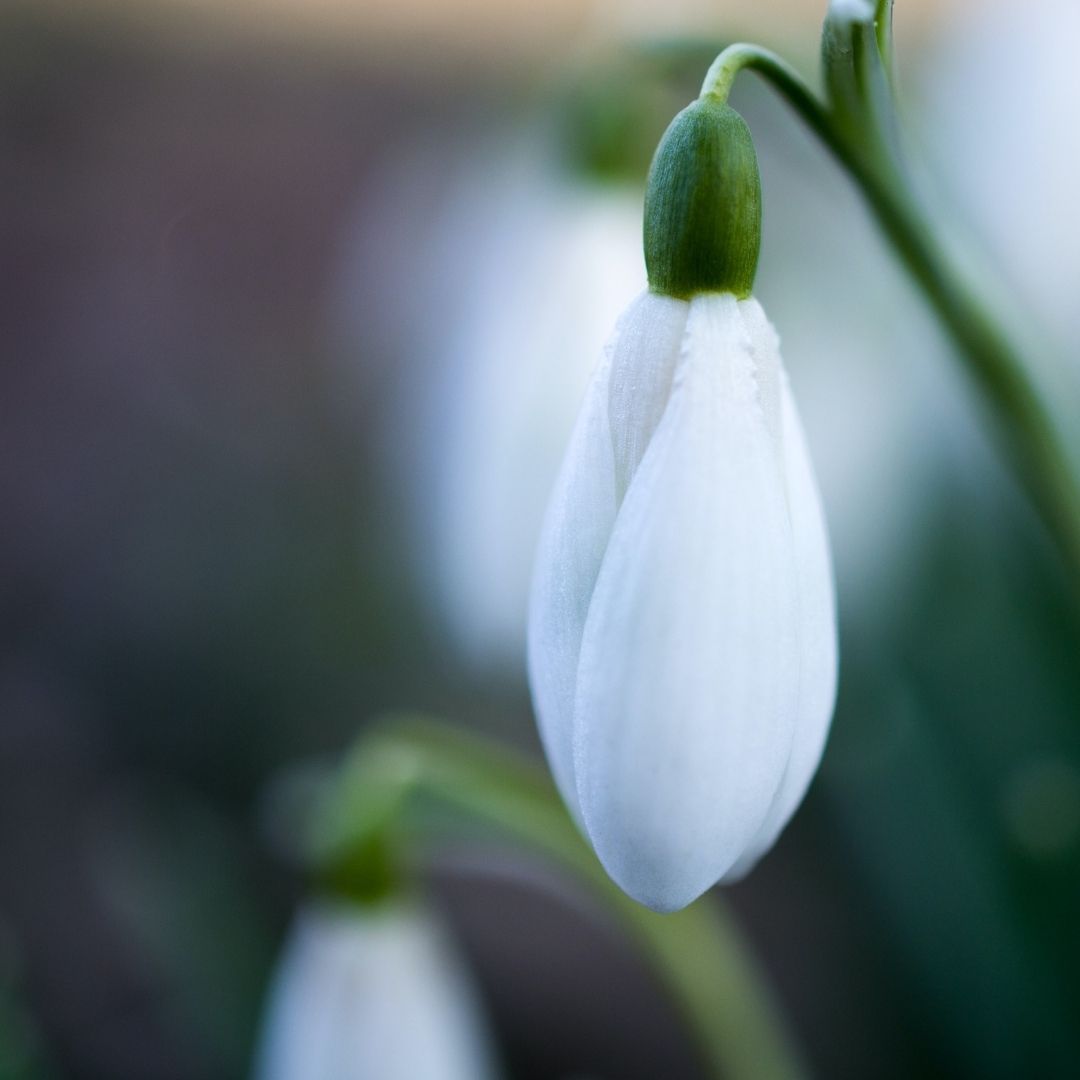 Proč je jaro vhodná doba na detox?