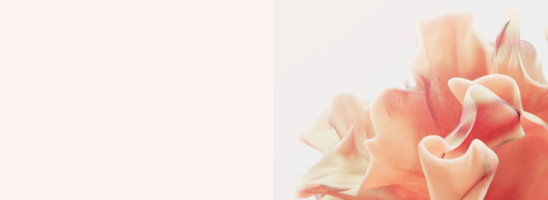 Přírodní kosmetika JAGAIA