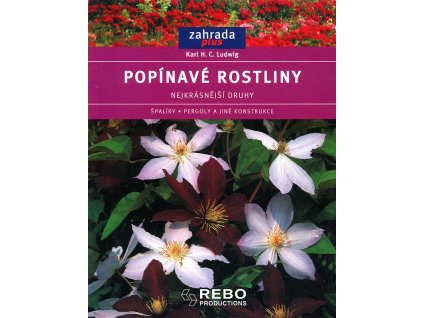 Popinave rostliny Rebo v800