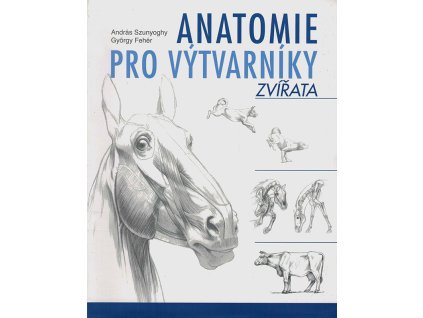 Anatomie pro vytvarniky Zvirata v800