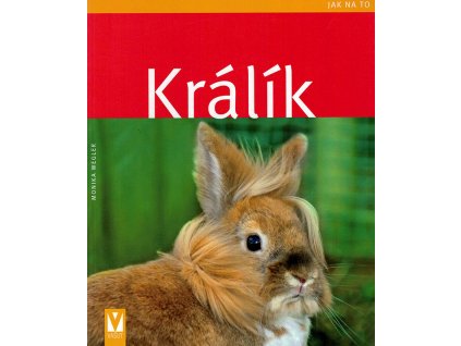 Kralik v800