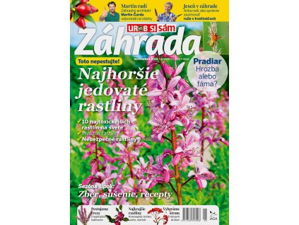 Zahrada 2019 08 v800