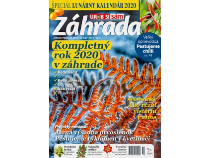 Zahrada 2019 10 v800