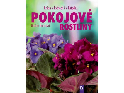 Pokojove rostliny Vasut v800