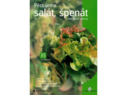 Pestujeme salat spenat v800