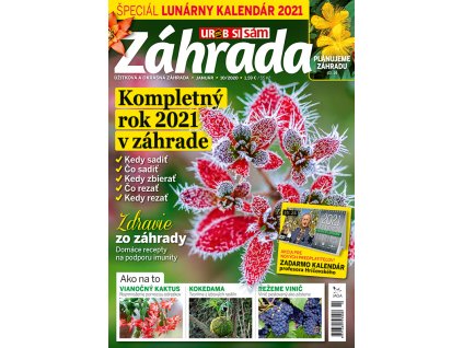 Zahrada 2020 10 v800