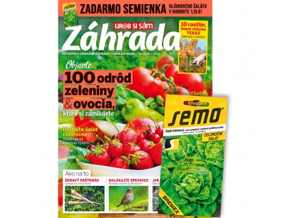 ZAHR plus semienka salatu 202302