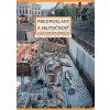 Predpoklady a skutocnost v800