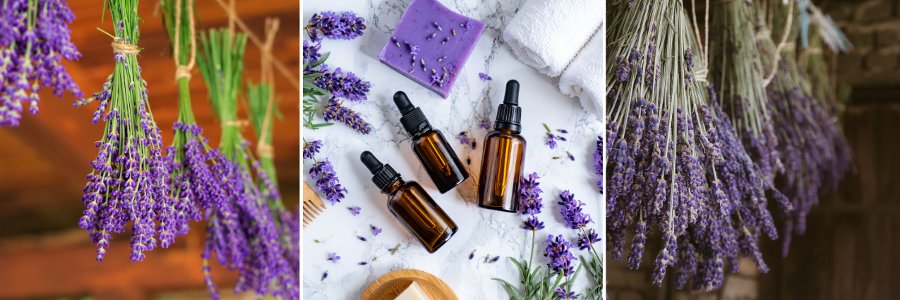 koláž: postup sušení levandule a produkty z levandule