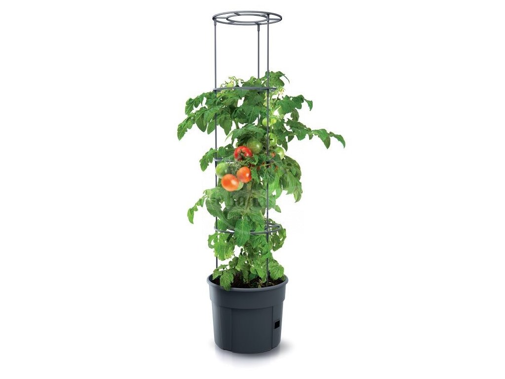 Květináč na pěstování rajčat TOMATO GROWER antracit 29,5 cm - Jahodárna  Brozany