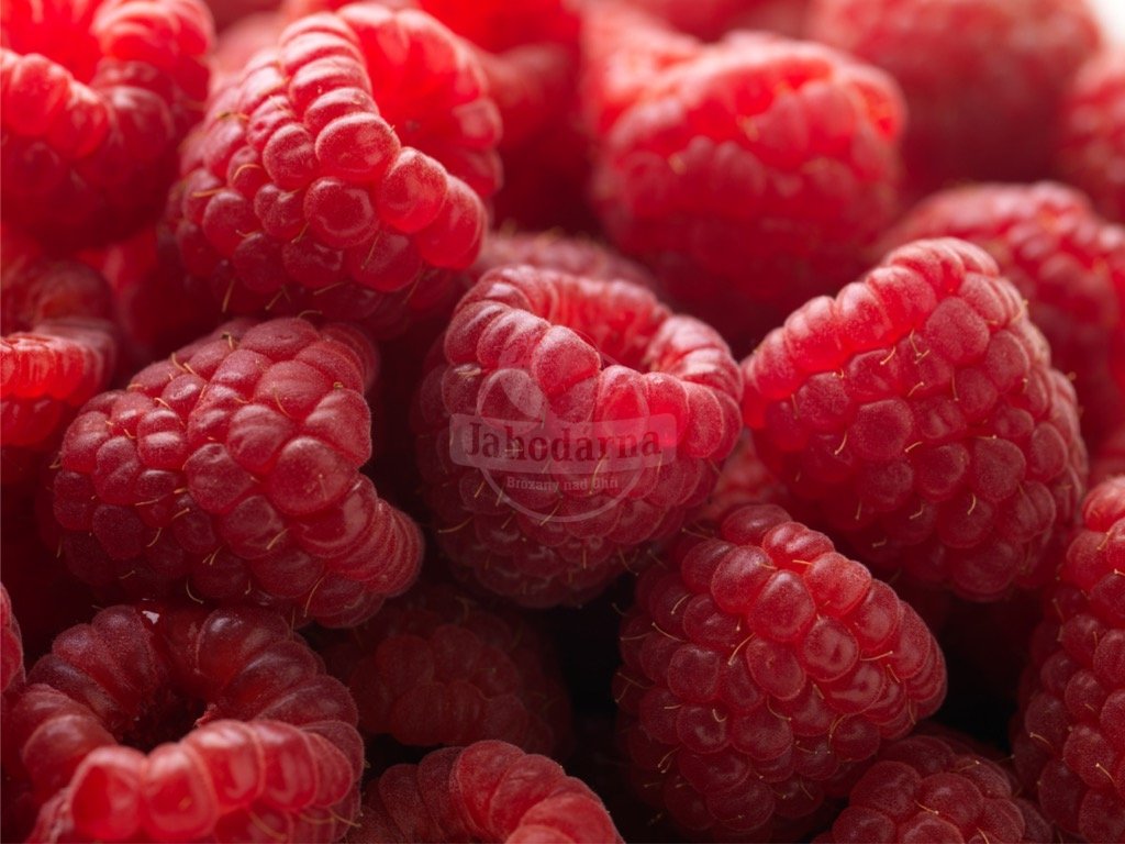 red raspberries picture id172411405