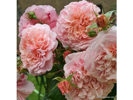 895b397f451f8edb86efd631b27b429b13dc69a4