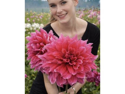 D7E0A68C C176 47CD A7D5 1AB1BCD01325