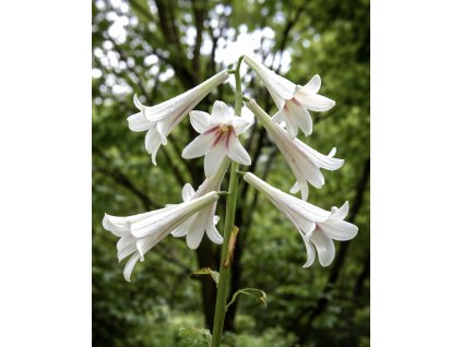 2E5AFEC8 3AA1 47CC A93C A07369C115B5