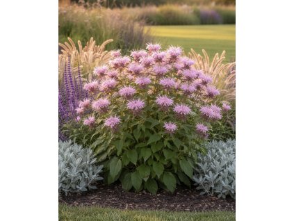 EDF763D6 EB5B 42F8 8B9F 607D7A6F7426